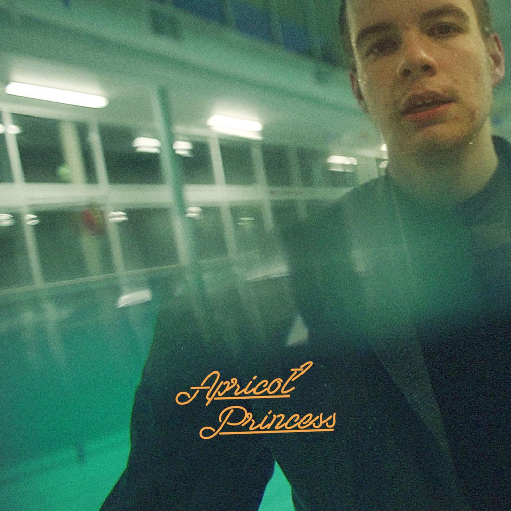 Rex Orange County - Apricot Princess (Vinyl LP)